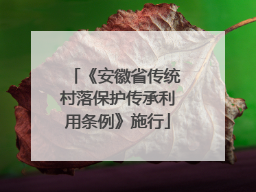 《安徽省传统村落保护传承利用条例》施行