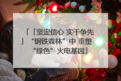 「坚定信心 实干争先」“钢铁森林”中 重塑“绿色”火电基因