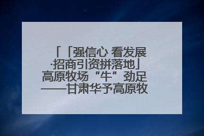 「强信心 看发展·招商引资拼落地」高原牧场“牛”劲足——甘肃华予高原牧场高标准奶牛肉牛养殖项目一线见闻