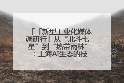 「新型工业化媒体调研行」从“北斗七星”到“热带雨林”：上海AI生态的技术商业共生密码