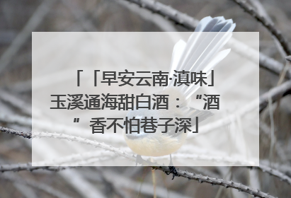 「早安云南·滇味」玉溪通海甜白酒：“酒”香不怕巷子深