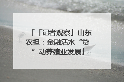 「记者观察」山东农担：金融活水“贷”动养殖业发展