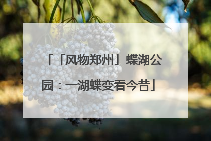 「风物郑州」蝶湖公园：一湖蝶变看今昔