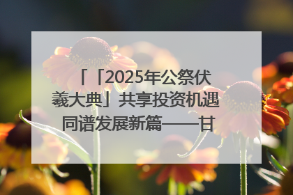 「2025年公祭伏羲大典」共享投资机遇 同谱发展新篇——甘肃省文旅产业链招商引资推介会侧记