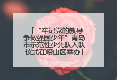 “牢记党的教导 争做强国少年”青岛市示范性少先队入队仪式在崂山区举办
