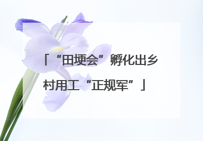 “田埂会”孵化出乡村用工“正规军”