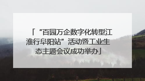 “百园万企数字化转型江淮行阜阳站”活动暨工业生态主题会议成功举办