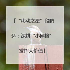 “移动之星”段鹏达：深耕“小网格” 发挥大价值