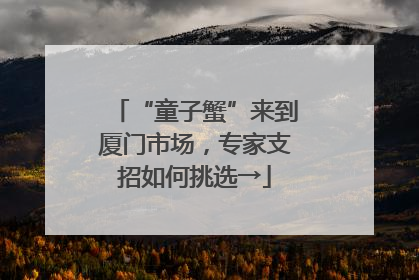 “童子蟹”来到厦门市场，专家支招如何挑选→