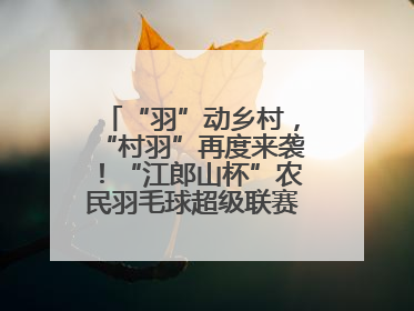 “羽”动乡村，“村羽”再度来袭！“江郎山杯”农民羽毛球超级联赛第二站圆满落幕