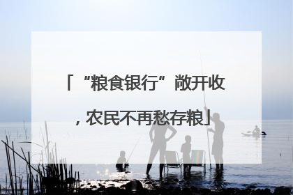 “粮食银行”敞开收，农民不再愁存粮
