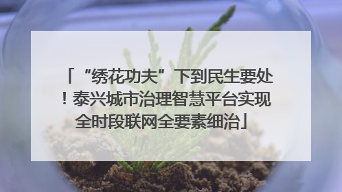 “绣花功夫”下到民生要处！泰兴城市治理智慧平台实现全时段联网全要素细治