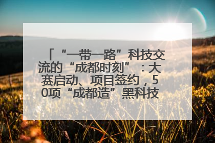 “一带一路”科技交流的“成都时刻”：大赛启动、项目签约，50项“成都造”黑科技吸引多国客商