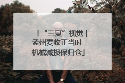 “三夏”视觉｜孟州麦收正当时 机械减损保归仓