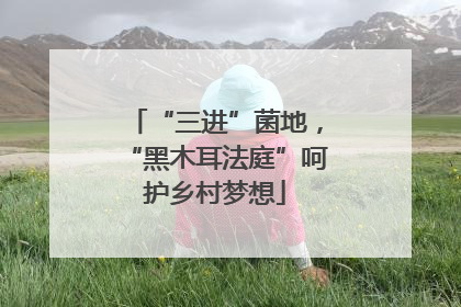 “三进”菌地，“黑木耳法庭”呵护乡村梦想