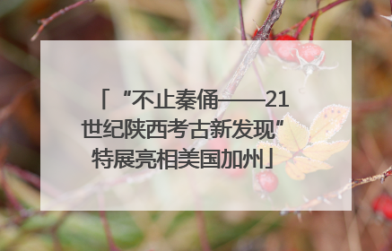 “不止秦俑——21世纪陕西考古新发现”特展亮相美国加州