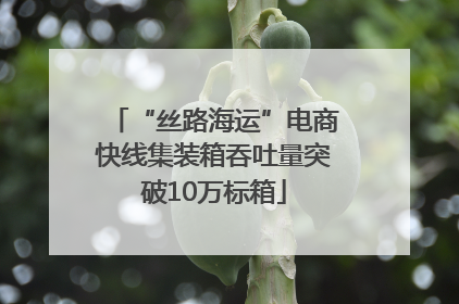 “丝路海运”电商快线集装箱吞吐量突破10万标箱