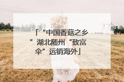 “中国香菇之乡”湖北随州“致富伞”远销海外