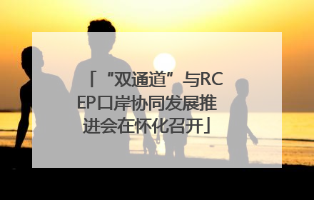 “双通道”与RCEP口岸协同发展推进会在怀化召开