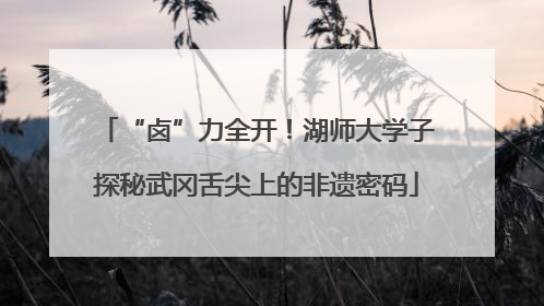“卤”力全开！湖师大学子探秘武冈舌尖上的非遗密码