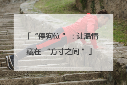 “停狗位 ”：让温情藏在 “方寸之间 ”