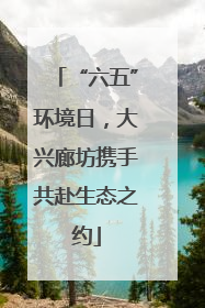 “六五”环境日，大兴廊坊携手共赴生态之约