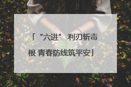 “六进” 利刃斩毒根 青春防线筑平安