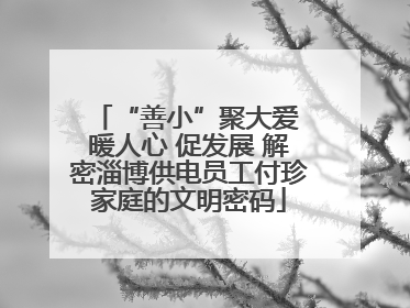 “善小”聚大爱 暖人心 促发展 解密淄博供电员工付珍家庭的文明密码