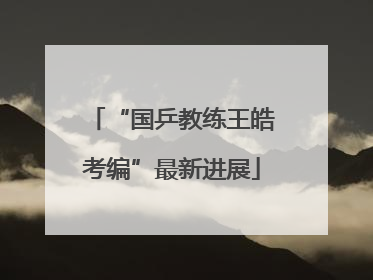 “国乒教练王皓考编”最新进展