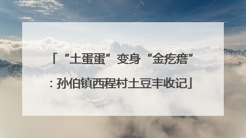 “土蛋蛋”变身“金疙瘩”：孙伯镇西程村土豆丰收记