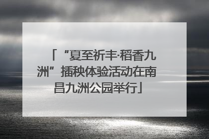 “夏至祈丰·稻香九洲”插秧体验活动在南昌九洲公园举行