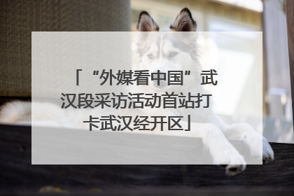 “外媒看中国”武汉段采访活动首站打卡武汉经开区