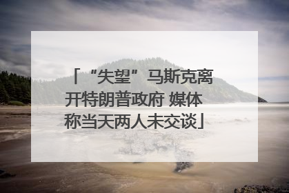 “失望”马斯克离开特朗普政府 媒体称当天两人未交谈