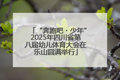 “奔跑吧・少年”2025年四川省第八届幼儿体育大会在乐山圆满举行