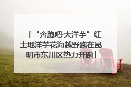 “奔跑吧·大洋芋”红土地洋芋花海越野跑在昆明市东川区热力开跑