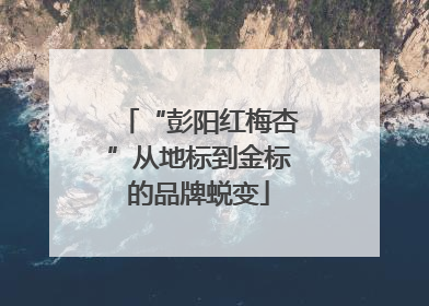 “彭阳红梅杏”从地标到金标的品牌蜕变