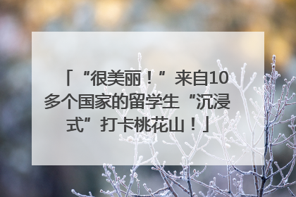 “很美丽！”来自10多个国家的留学生“沉浸式”打卡桃花山！