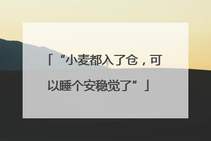 “小麦都入了仓，可以睡个安稳觉了”