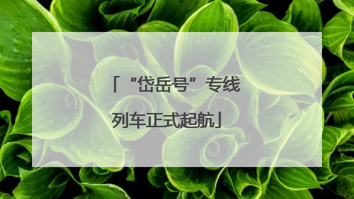 “岱岳号”专线列车正式起航
