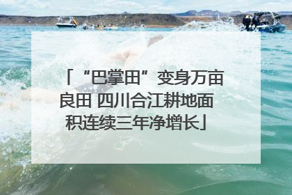 “巴掌田”变身万亩良田 四川合江耕地面积连续三年净增长