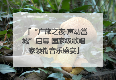 “广旅之夜·声动邕城”启幕 国家级歌唱家领衔音乐盛宴