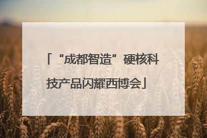 “成都智造”硬核科技产品闪耀西博会