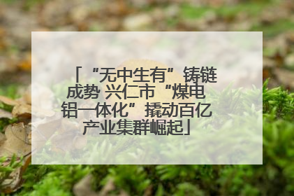 “无中生有”铸链成势 兴仁市“煤电铝一体化”撬动百亿产业集群崛起