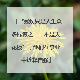 “残疾只是人生众多标签之一，不是天花板”，他们在事业中诠释自强