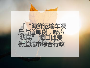 “海鲜运输车凌晨占道卸货，噪声扰民” 海口博爱街道城市综合行政执法中队：将联合交警加强长堤路一带巡逻