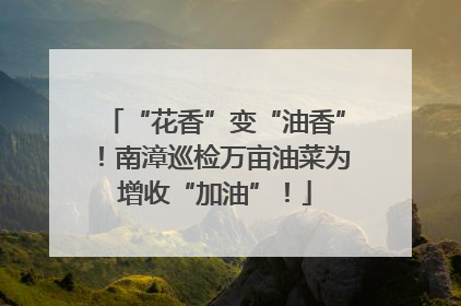 “花香”变“油香”！南漳巡检万亩油菜为增收“加油”！