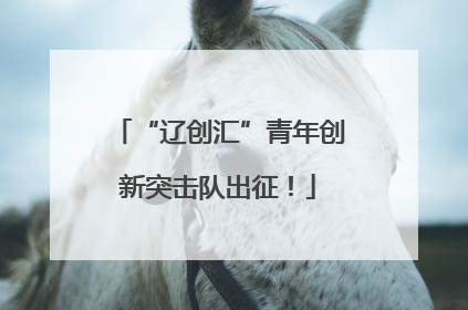 “辽创汇”青年创新突击队出征！