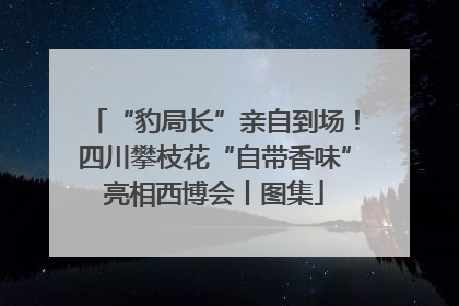 “豹局长”亲自到场！四川攀枝花“自带香味”亮相西博会丨图集
