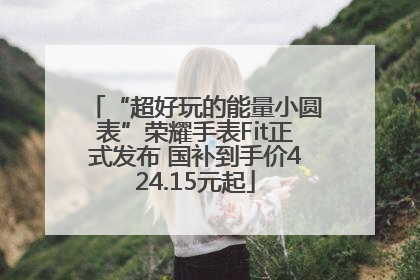“超好玩的能量小圆表”荣耀手表Fit正式发布 国补到手价424.15元起