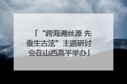 “跨海溯丝源 先蚕生古泫”主题研讨会在山西高平举办